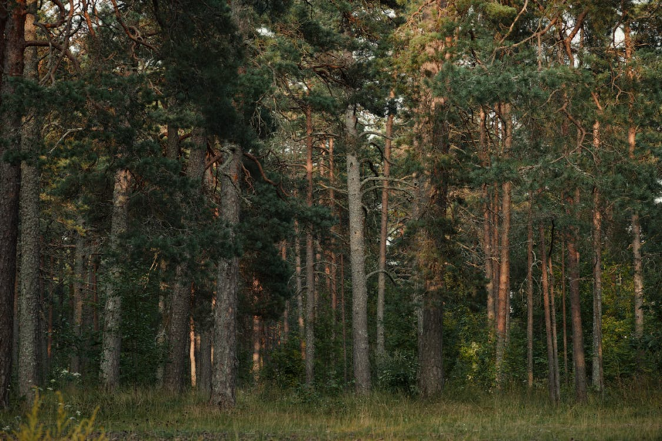 image 2025 12 22 174622602