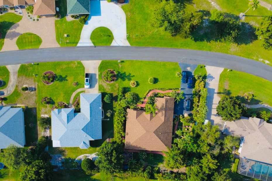 image 2026 01 12 161613292